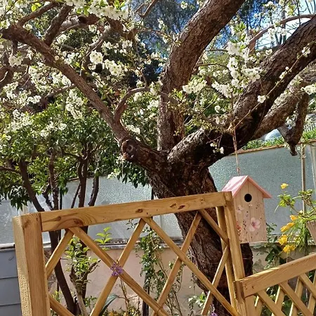 Appartement Il Giardino Dell'eden 10 - Turistico Di Barbara C
